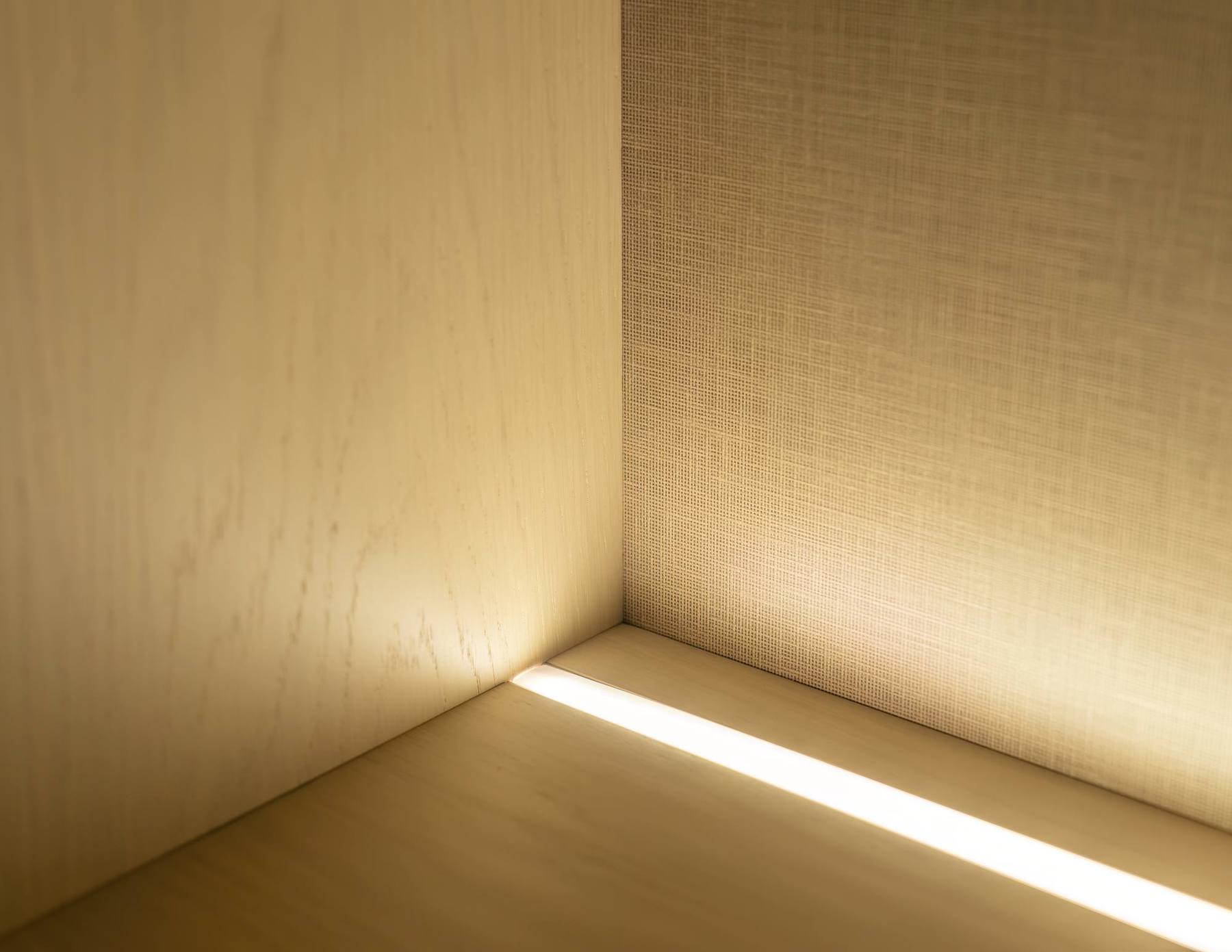 Illuminated shelving detail